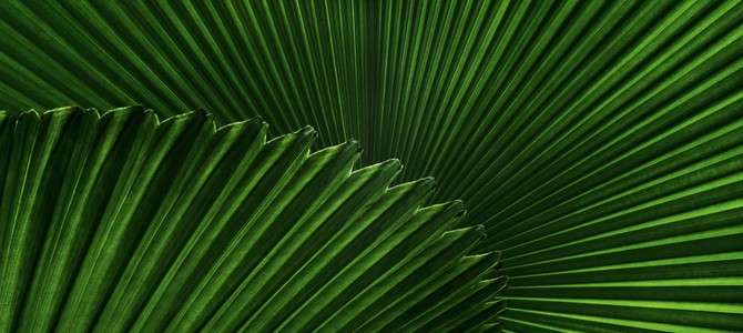 3. Гастрономический туризм: Открытие вкусов Австралии