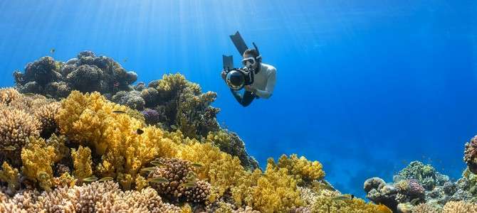 - Примеры успешных программ по охране морских биоразнообразий