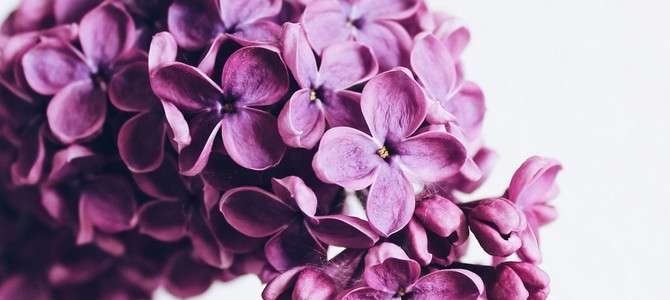 10. Нижний Новгород: Великое княжество Русское