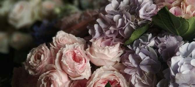Планы по привлечению инвестиций и увеличению туристического потока