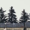 Модели сельского туризма: лучшие практики развития