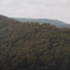 Сельский туризм проект: 15 оригинальных идей для развития на вашей ферме