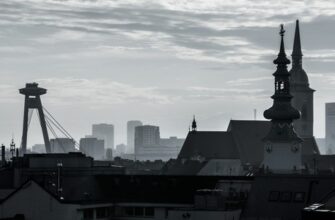 Отзывы о Российской международной академии туризма: реальные отзывы студентов и выпускников