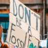 Сохранение биологического разнообразия и развитие экологического туризма: национальные парки и редкие виды