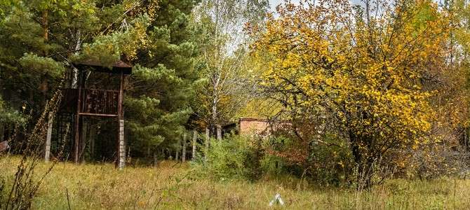 6. Важность сферы туризма в современном мире