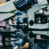 Методы научного исследования туризма: современные подходы