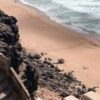 Теория и методика спортивного туризма: учебник Таймазов