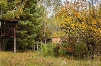 Влияние информационных технологий на развитие социально-культурного сервиса и туризма